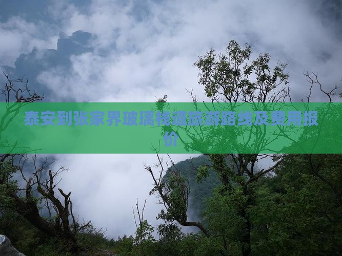 泰安到张家界玻璃栈道旅游路线及费用报价