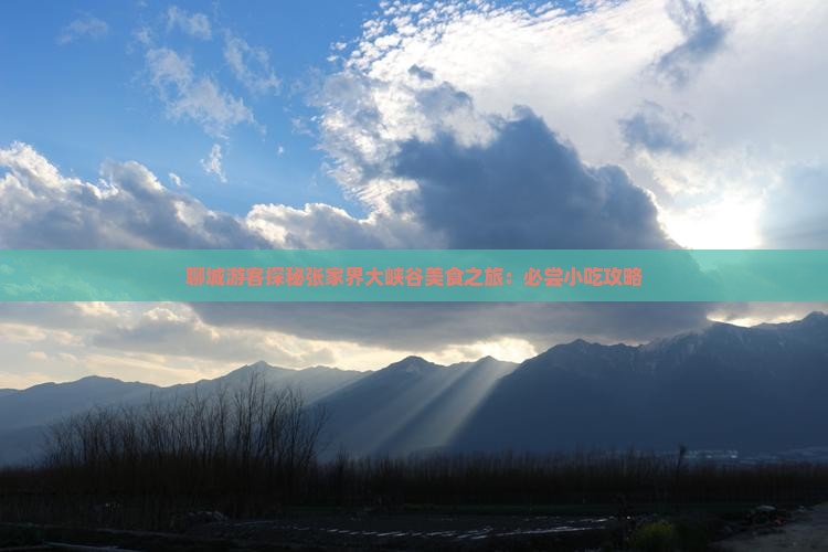 聊城游客探秘张家界大峡谷美食之旅：必尝小吃攻略
