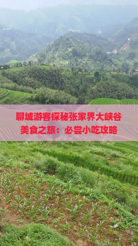 聊城游客探秘张家界大峡谷美食之旅：必尝小吃攻略