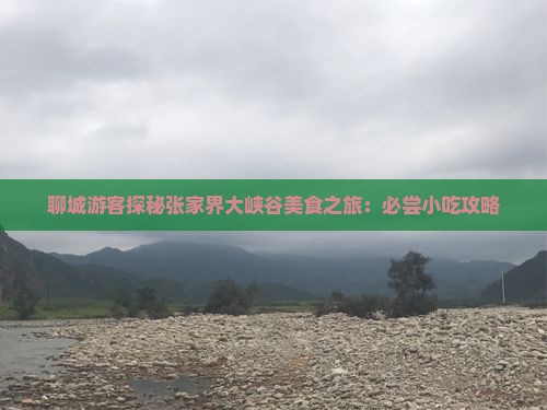 聊城游客探秘张家界大峡谷美食之旅：必尝小吃攻略