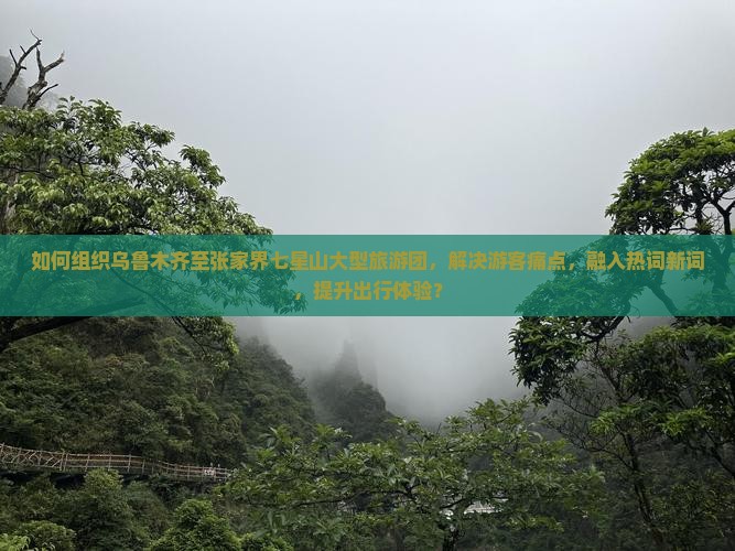 如何组织乌鲁木齐至张家界七星山大型旅游团，解决游客痛点，融入热词新词，提升出行体验？