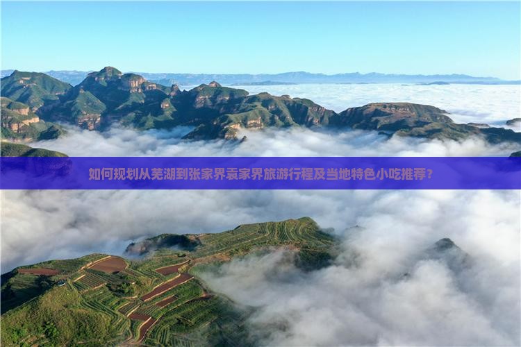 如何规划从芜湖到张家界袁家界旅游行程及当地特色小吃推荐？