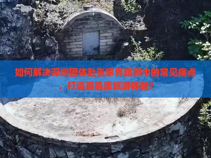 如何解决深圳团体赴张家界旅游中的常见痛点，打造高品质旅游体验？