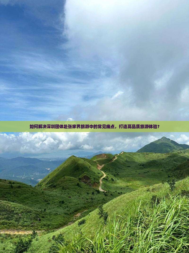 如何解决深圳团体赴张家界旅游中的常见痛点，打造高品质旅游体验？