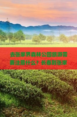 去张家界森林公园旅游需要注意什么？长春到张家界团体旅游价格是多少？