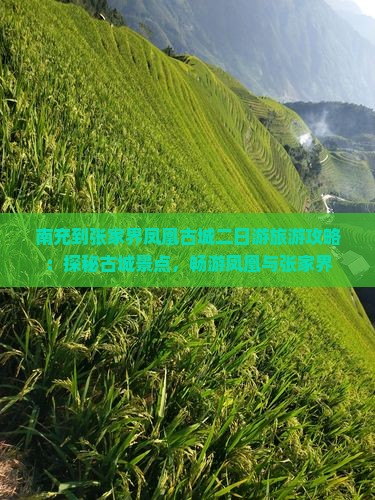 南充到张家界凤凰古城二日游旅游攻略：探秘古城景点，畅游凤凰与张家界