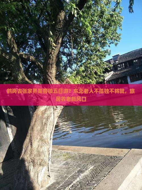 鹤岗去张家界芙蓉镇五日游？东北老人不孤独不将就，旅居养老新风口