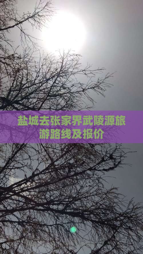 盐城去张家界武陵源旅游路线及报价