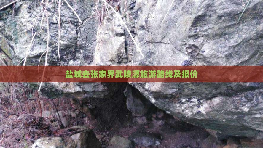 盐城去张家界武陵源旅游路线及报价