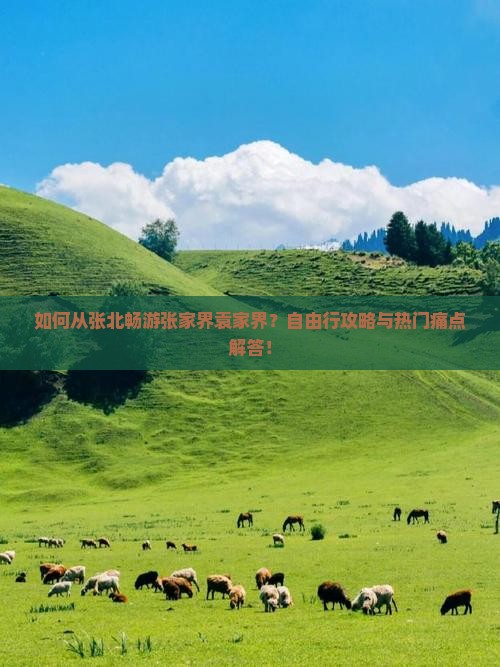如何从张北畅游张家界袁家界？自由行攻略与热门痛点解答！