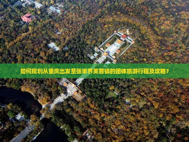 如何规划从重庆出发至张家界芙蓉镇的团体旅游行程及攻略？