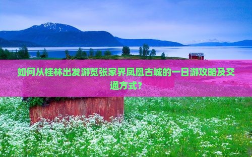 如何从桂林出发游览张家界凤凰古城的一日游攻略及交通方式？