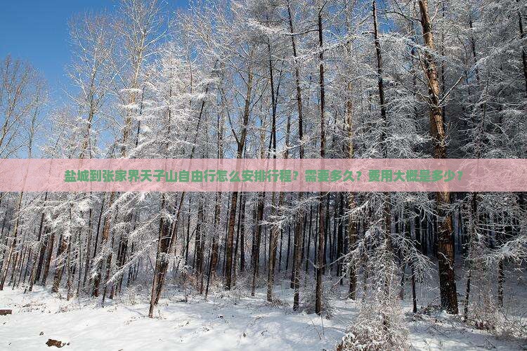盐城到张家界天子山自由行怎么安排行程？需要多久？费用大概是多少？