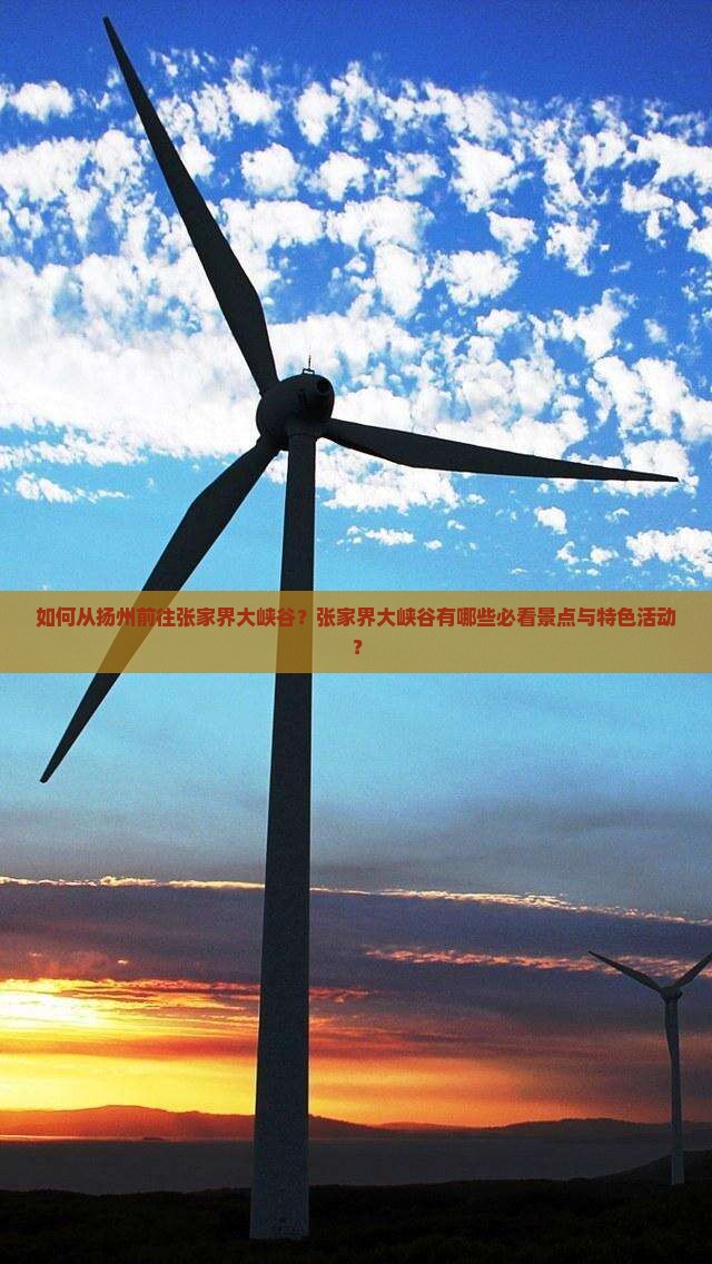 如何从扬州前往张家界大峡谷？张家界大峡谷有哪些必看景点与特色活动？