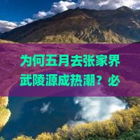 为何五月去张家界武陵源成热潮？必去痛点与热词新风向！