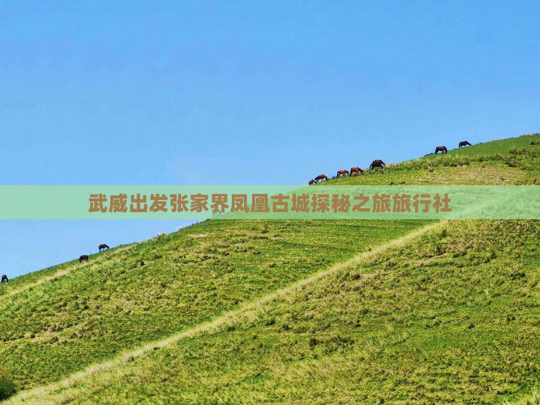 武威出发张家界凤凰古城探秘之旅旅行社