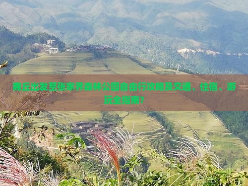 商丘出发至张家界森林公园自由行攻略及交通、住宿、游玩全指南？