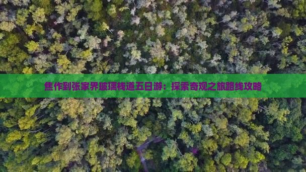 焦作到张家界玻璃栈道五日游：探索奇观之旅路线攻略