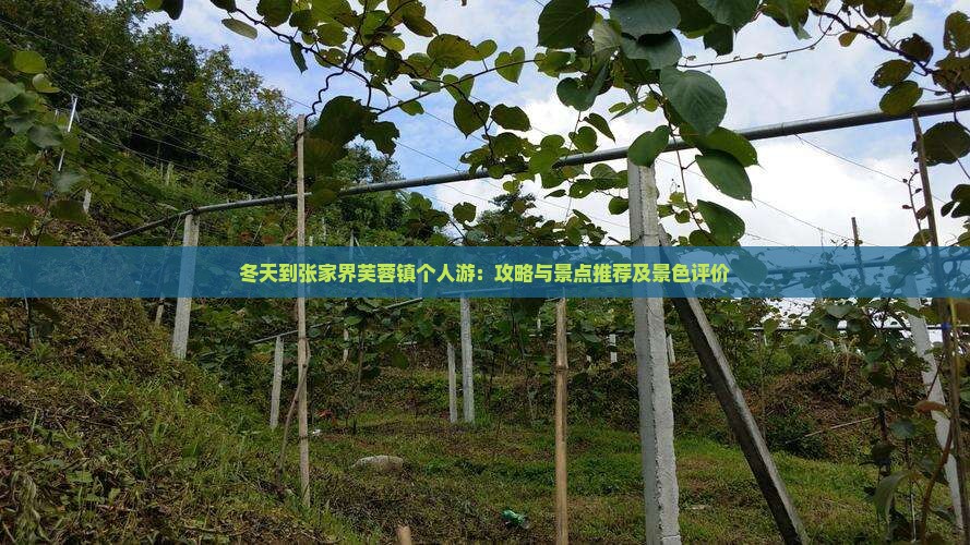 冬天到张家界芙蓉镇个人游：攻略与景点推荐及景色评价