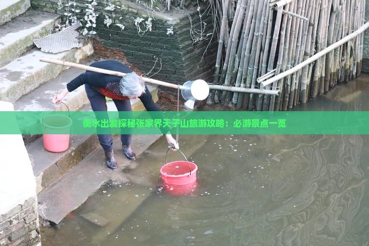 衡水出发探秘张家界天子山旅游攻略：必游景点一览