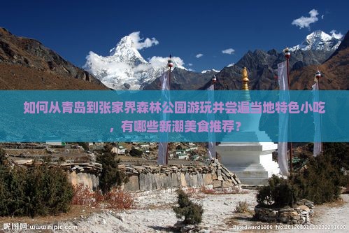 如何从青岛到张家界森林公园游玩并尝遍当地特色小吃，有哪些新潮美食推荐？