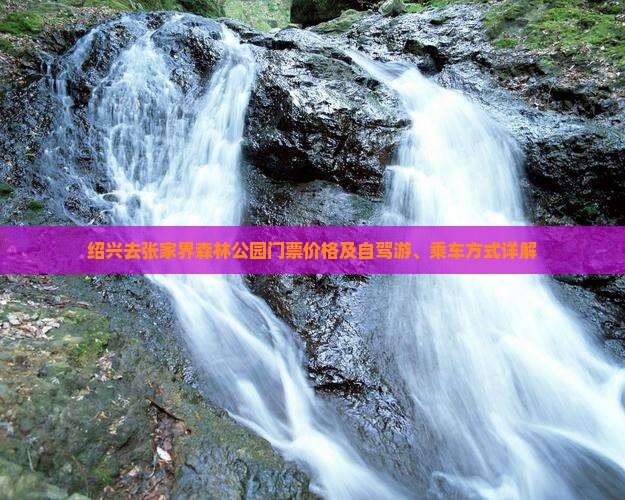 绍兴去张家界森林公园门票价格及自驾游、乘车方式详解