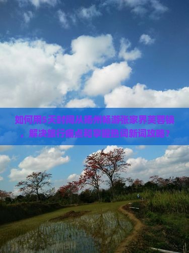 如何用5天时间从扬州畅游张家界芙蓉镇，解决旅行痛点和掌握热词新词攻略？