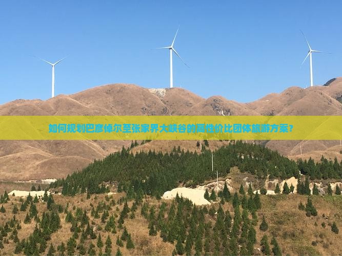 如何规划巴彦倬尔至张家界大峡谷的高性价比团体旅游方案？