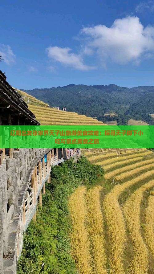 辽阳出发张家界天子山旅游美食攻略：探寻天子脚下小吃与景点美食之旅