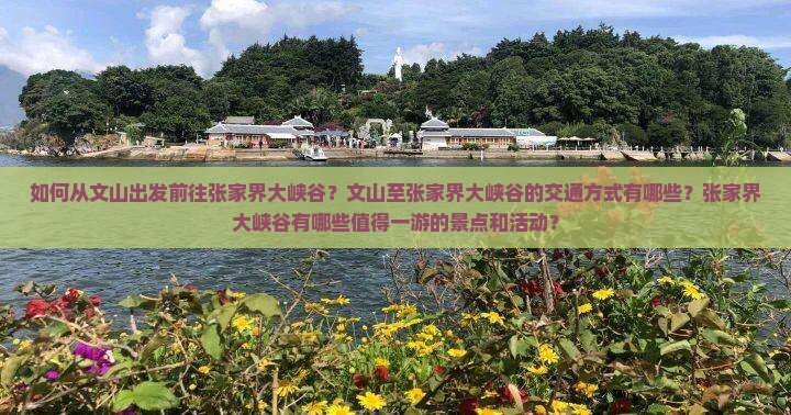 如何从文山出发前往张家界大峡谷？文山至张家界大峡谷的交通方式有哪些？张家界大峡谷有哪些值得一游的景点和活动？