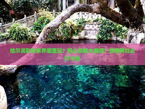 哈尔滨到张家界哪里玩？担心攻略太麻烦？快看网红必打卡地