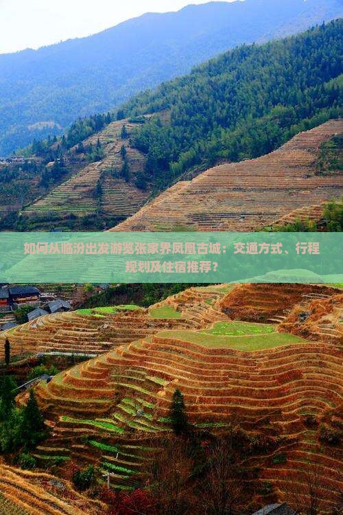 如何从临汾出发游览张家界凤凰古城：交通方式、行程规划及住宿推荐？