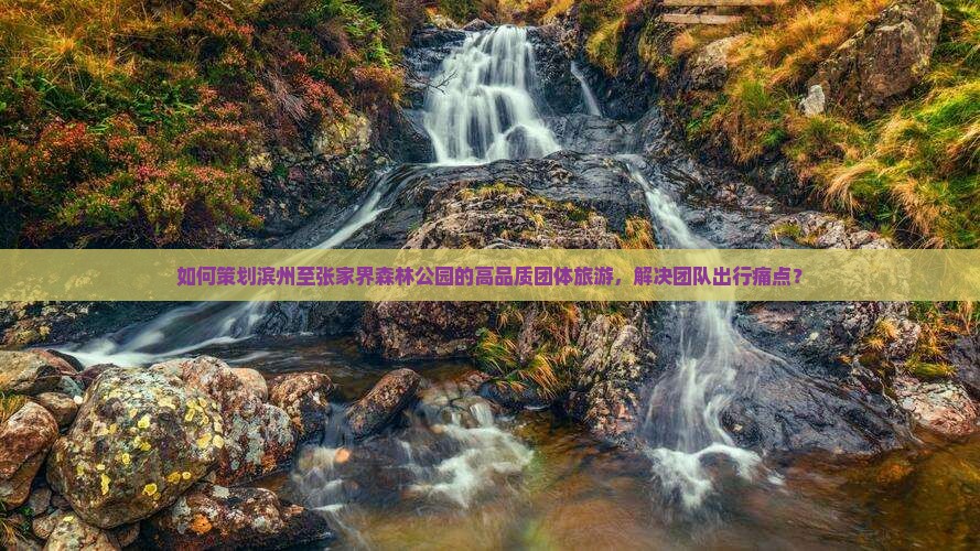 如何策划滨州至张家界森林公园的高品质团体旅游,解决团队出行痛点? 如何策划滨州至张家界森林公园的高品质团体旅游,解决团队出行痛点?