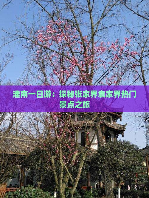 淮南一日游:探秘张家界袁家界热门景点之旅 淮南一日游:探秘张家界袁家界热门景点之旅