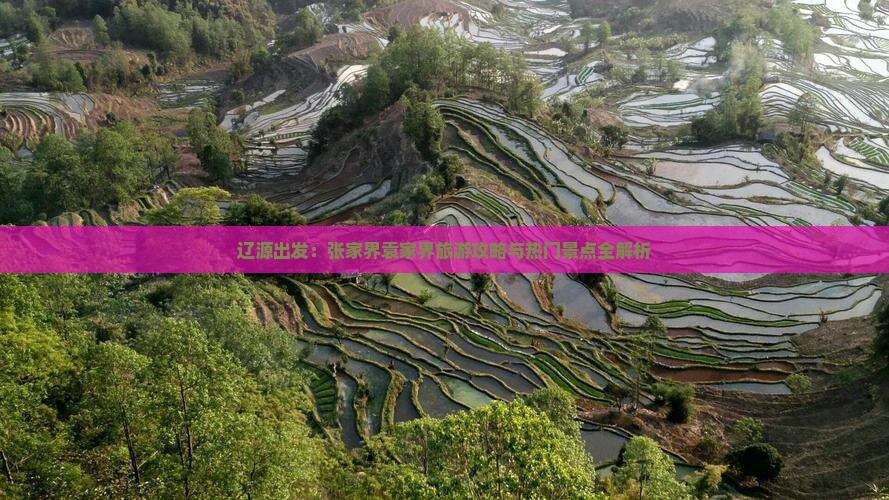 辽源出发：张家界袁家界旅游攻略与热门景点全解析