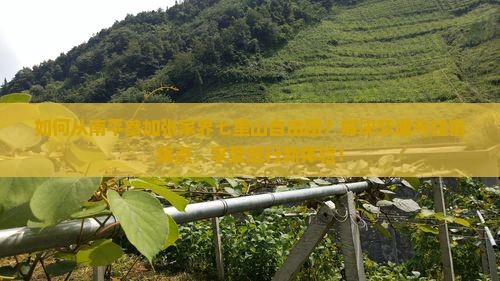 如何从南平参加张家界七星山自由团？解决交通与住宿痛点，享受旅行新体验！