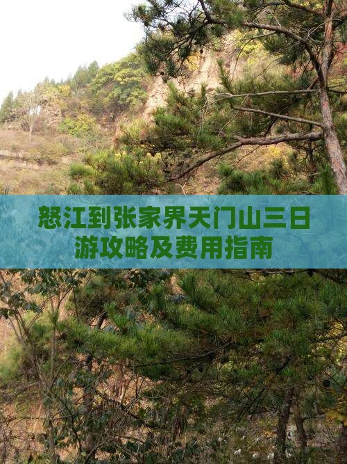 怒江到张家界天门山三日游攻略及费用指南