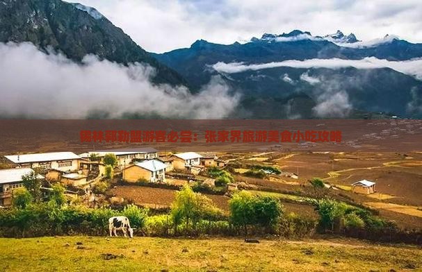 锡林郭勒盟游客必尝：张家界旅游美食小吃攻略