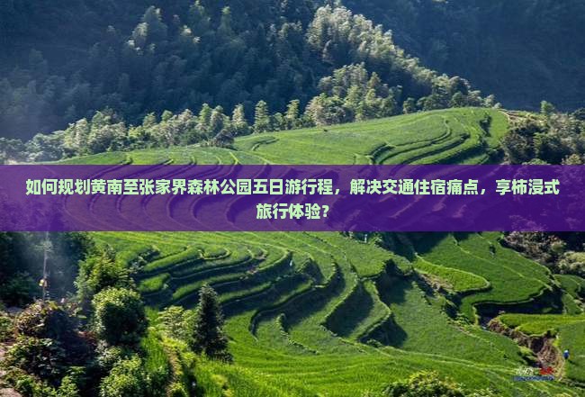 如何规划黄南至张家界森林公园五日游行程，解决交通住宿痛点，享柿浸式旅行体验？