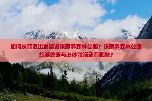 如何从普洱出发游览张家界森林公园？张家界森林公园旅游攻略与必体验活动有哪些？