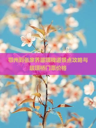 鄂州到张家界玻璃栈道景点攻略与玻璃桥门票价格