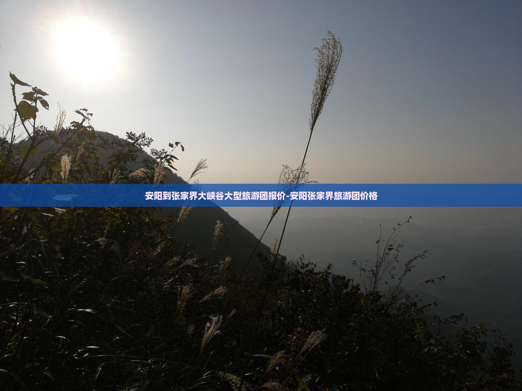 安阳到张家界大峡谷大型旅游团报价-安阳张家界旅游团价格