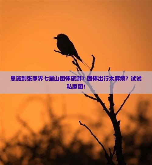 恩施到张家界七星山团体旅游？团体出行太麻烦？试试私家团！
