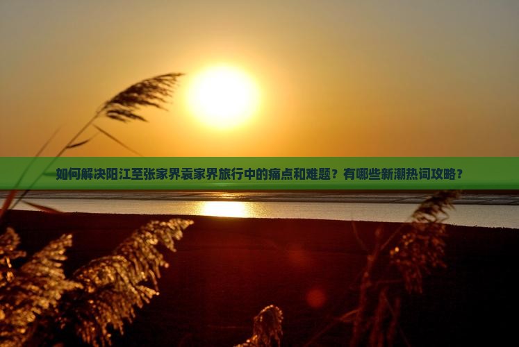 如何解决阳江至张家界袁家界旅行中的痛点和难题？有哪些新潮热词攻略？