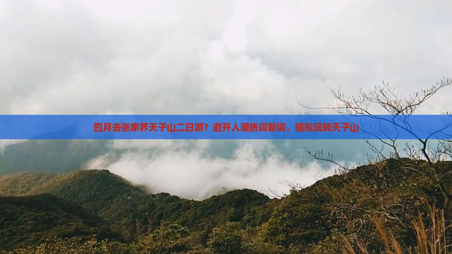 四月去张家界天子山二日游？避开人潮热词新词，轻松玩转天子山