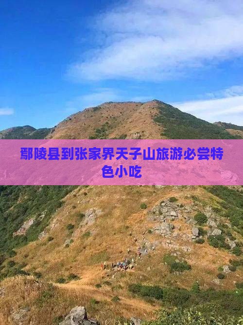鄢陵县到张家界天子山旅游必尝特色小吃