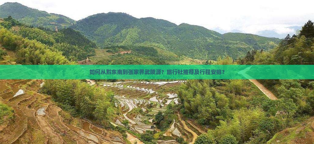 如何从黔东南到张家界武陵源？旅行社推荐及行程安排？