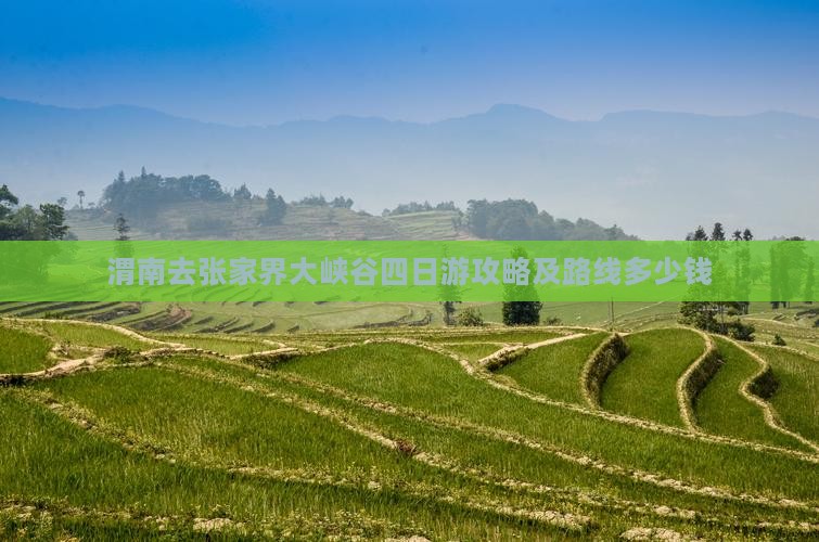 渭南去张家界大峡谷四日游攻略及路线多少钱