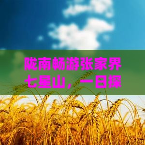 陇南畅游张家界七星山，一日探险之旅
