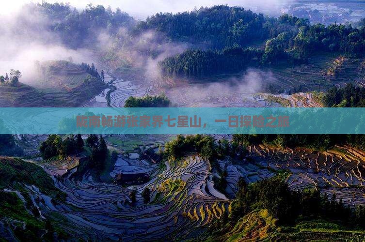 陇南畅游张家界七星山，一日探险之旅